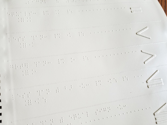 shows the tactile drawings and braille entries for equal sign, greater than, less than, etc.