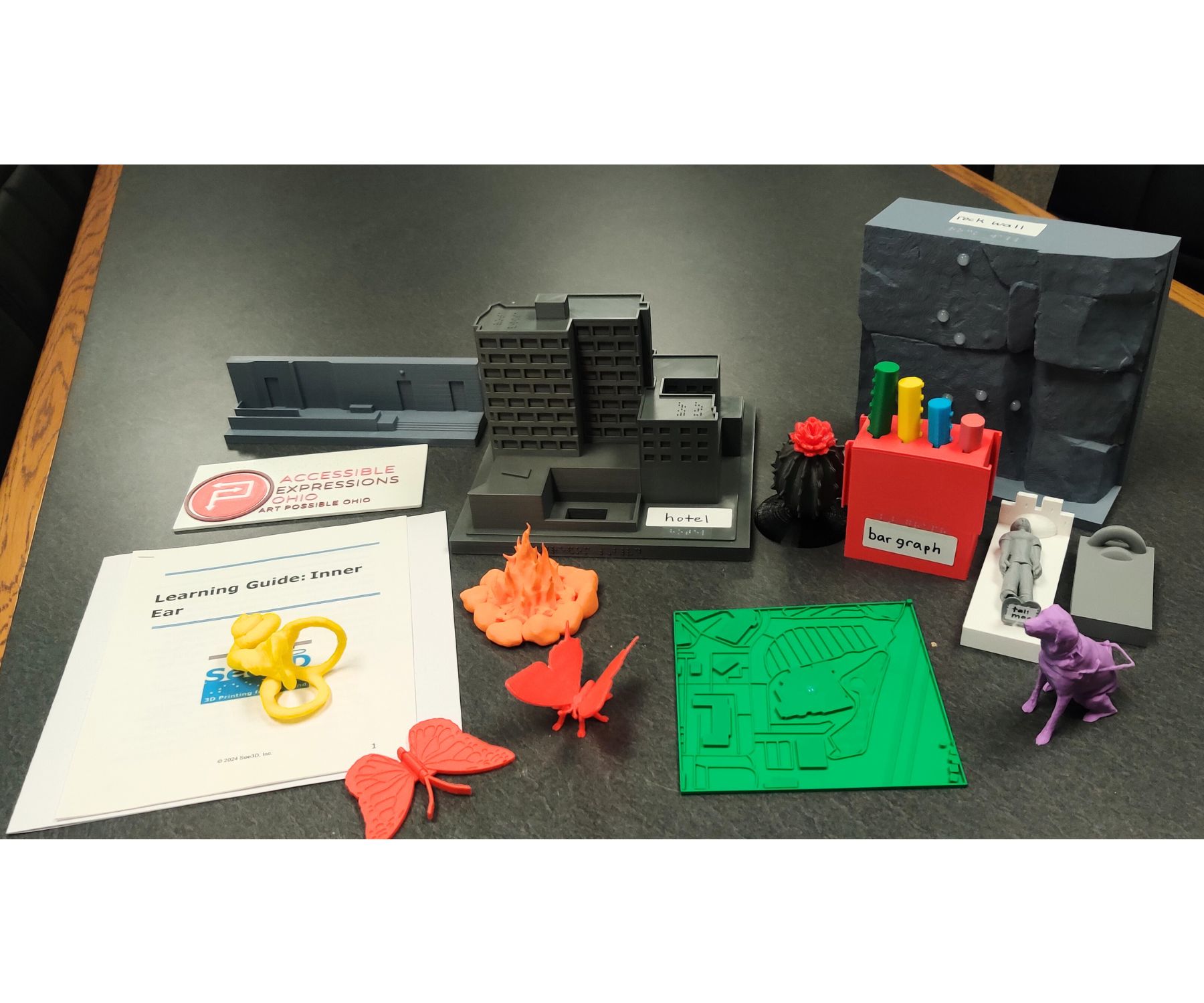 Photo of See3D components