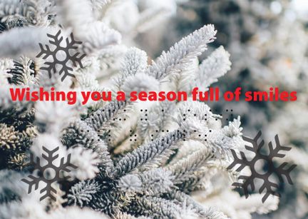 Season full of smiles Print/Braille Holiday Cards