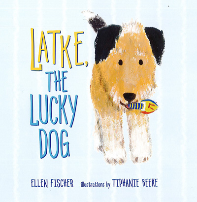 Picture of Latke, the Lucky Dog