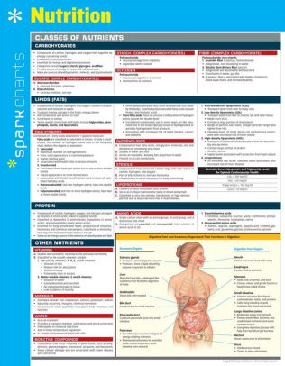 Nutrition SparkChart