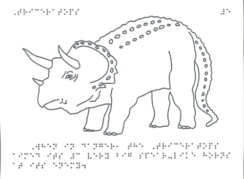 Tactile drawing of Triceratops