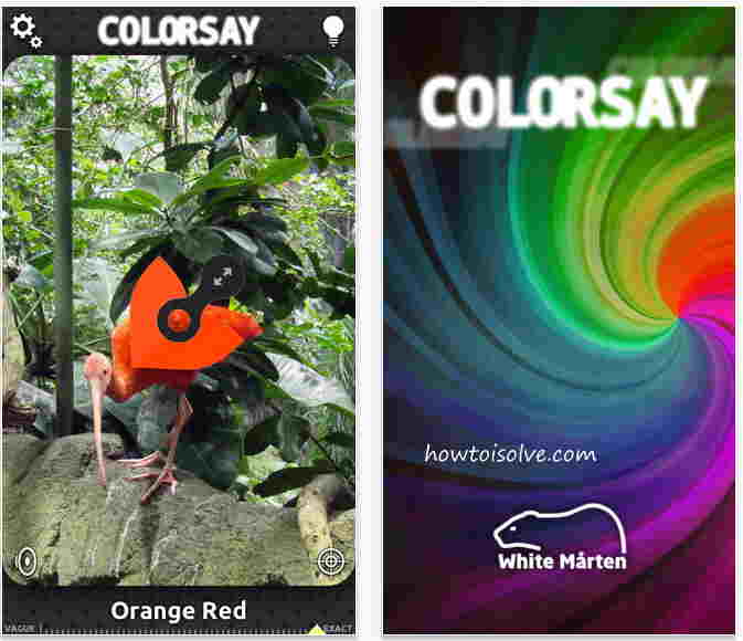 Screen shots from the ColorSay app