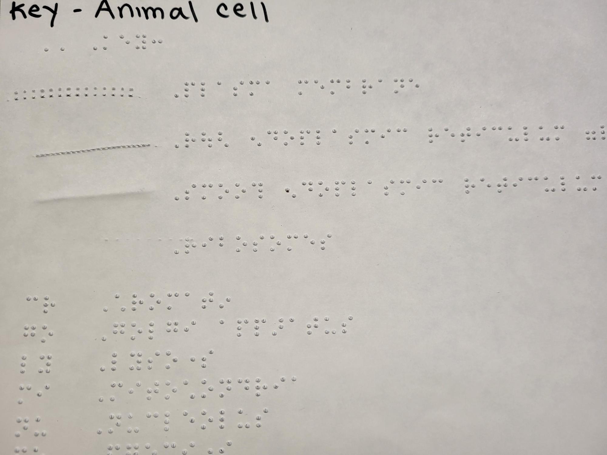 Key for Human Cell Tactile Graphic